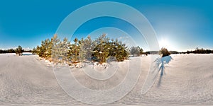 Amazing landscape with blue sky sun snow trees at winter 3D spherical panorama with 360 degree viewing angle Ready for virtual