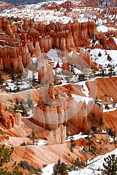 Amazing landscape in Bryce Canyon