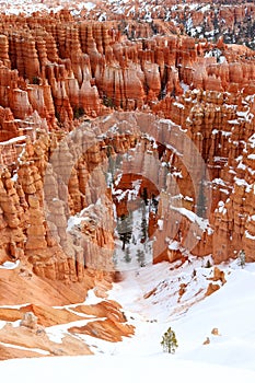 Amazing landscape in Bryce Canyon