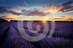 Amazing landscape from Bulgaria with lavender field shot at sunset