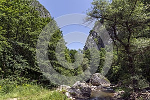 Amazing landscape of Erma River in sunny summer day