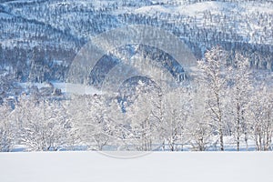 Amazing landscape After the first snow over the mountain, Colorado, USA. Winter wonderland. A beautiful panorama of a snow filled