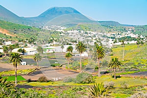Amazing landscape of Haria valley, the valley of a thousand palms, Lanzarote, Canary Islands, Spain photo