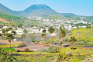 Amazing landscape of Haria valley, the valley of a thousand palms, Lanzarote, Canary Islands, Spain