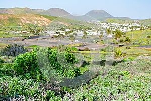 Amazing landscape of Haria valley, the valley of a thousand palms, Lanzarote, Canary Islands, Spain