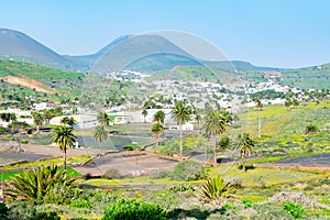 Amazing landscape of Haria valley, the valley of a thousand palms, Lanzarote, Canary Islands, Spain