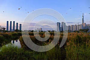 Amazing landscape of Ho Chi Minh city,  many kites flying on sunset sky, high rise building reflect on water, reeds flowers at