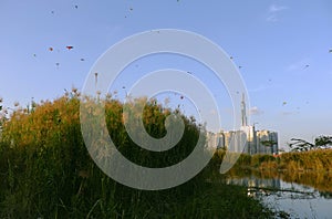 Amazing landscape of Ho Chi Minh city,  many kites flying on sunset sky, high rise building reflect on water, reeds flowers at