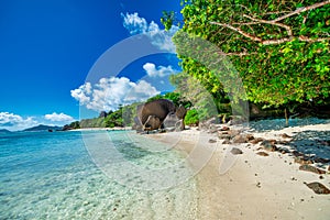 Amazing landscape of La Digue Island in the Seychelles Archipelago