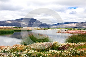 Amazing landscape with a lake in Calafate, Argentina, Patagonia