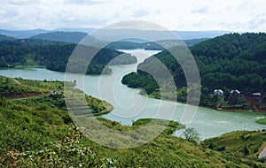 Amazing landscape of lake from mountain with pine forest