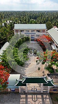 Amazing landscape of Mekong Delta village, school campus with red phoenix flowers tree bloom vibrant, highschool among coconut photo