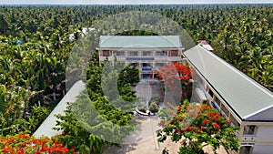 Amazing landscape of Mekong Delta village, school campus with red phoenix flowers tree bloom vibrant, highschool among coconut photo