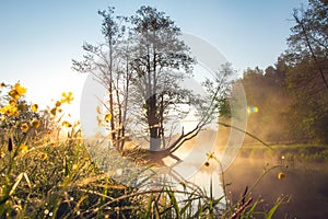 Amazing landscape of misty sunrise over river and meadow