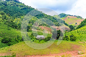 Amazing landscape on Moc Chau highland