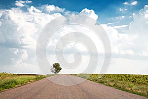 Amazing landscape. The road recedes into the distance and a lonely tree on the side of the road. Horizontal photo