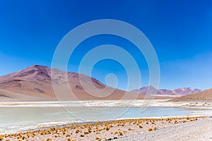 Amazing landscape scenario in Bolivia, South America, the place is known as the white lake for its white water. Very arid scenario
