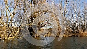 Amazing landscape seen from the kayak. forest reflecting in the lake water. extreme sports combined with relaxation during the aut