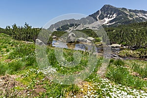 Amazing Landscape of Sivrya peak and Banski lakes, Pirin Mountain