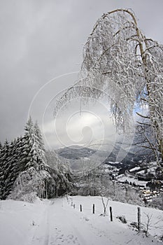 Amazing landscape of snowy Vosges mountains, France