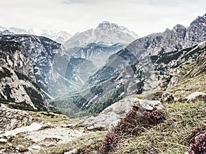 Amazing landscape with spring flowers and mountain peaks