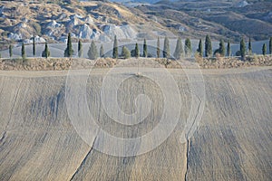 Amazing Landscape of Tuscany fields in Italy