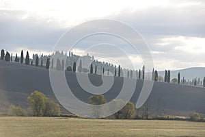 Amazing Landscape of Tuscany fields in Italy