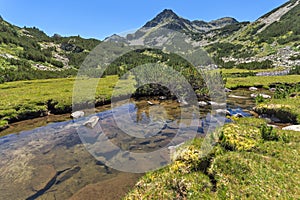 Amazing landscape with Valyavitsa river and Valyavishki chukar peak, Pirin Mountain