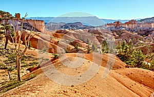 Amazing landscape view of Bryce Canyon National Park