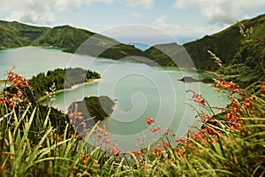 Amazing landscape view of crater volcano lake and flowers in Sao Miguel isla of Azores