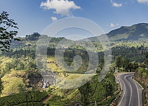 Amazing landscape view of the tea plantations and road among mountains