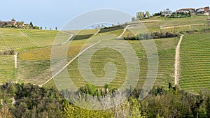 Amazing landscape of the vineyards of Langhe in Piemonte in Italy. The wine route. Natural contest. Rows of vineyards