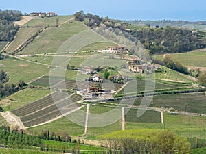 Amazing landscape of the vineyards of Langhe in Piemonte in Italy. The wine route. Rows of vineyards with yellow rapeseed fields