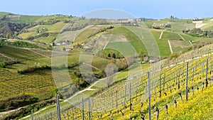 Amazing landscape of the vineyards of Langhe in Piemonte in Italy. The wine route. An Unesco World Heritage