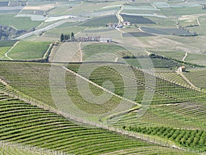 Amazing landscape of the vineyards of Langhe in Piemonte in Italy. The wine route. An Unesco World Heritage