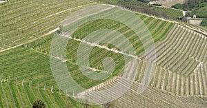 Amazing landscape of the vineyards of Langhe in Piemonte in Italy. The wine route. An Unesco World Heritage