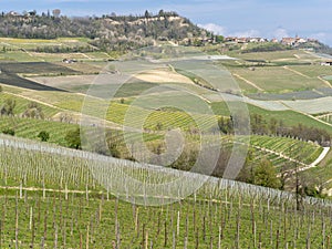 Amazing landscape of the vineyards of Langhe in Piemonte in Italy. The wine route. An Unesco World Heritage