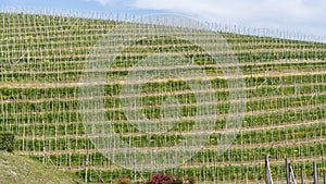 Amazing landscape of the vineyards of Langhe in Piemonte in Italy. The wine route. An Unesco World Heritage