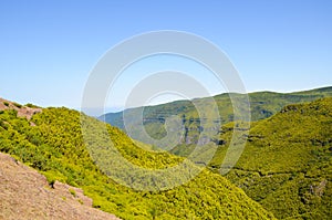 Amazing laurisilva forest near Rabacal on Paul da Serra plateau in Madeira Island, Portugal. Laurissilva of Madeira is part of photo