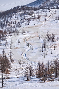 Amazing long road landscape in snowy pinewood. The road leads up to the hills.