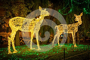 The amazing `Luci d`Artista` artist lights in Salerno during Christmas time, Campania, Italy. photo