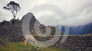 The amazing Machu Pichu Heritage in Peru
