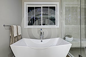 Amazing master bathroom with freestanding tub