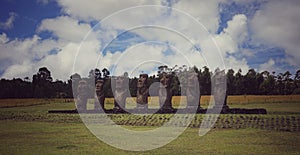 Amazing Moai in Rapa Nui Island, Chile