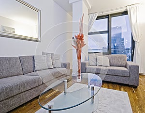 Amazing modern living room