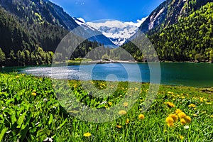 Amazing mountain landscape with lake and meadow flowers in foreground. Stillup lake, Austria