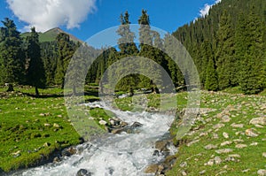 Amazing mountain landscape with a mountain river