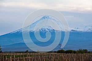 The amazing mountain of Sis. View from Armenia