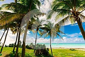 Amazing natural landscape view of Varadero Cuban beach and tranquil, turquoise ocean on blue sky background