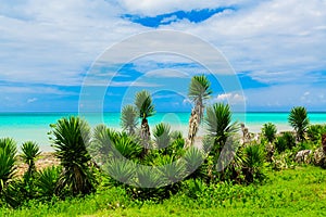 Amazing natural landscape view of Varadero Cuban beach and tranquil, turquoise ocean on blue sky background, tropical garden, sunn